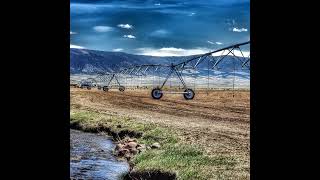 Mid-Summer Drought Review 2025