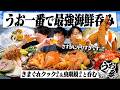 【超神回】うお一番で最強海鮮呑み！きまぐれクックさん&東海オンエア虫眼鏡さんと呑む最高の1日。【愛知/常滑/呑み旅/朝呑み/昼呑み/銀色のヤツ】