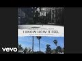 Ace Hood - I Know How It Feel (Audio) ft. TY Dollar $ign