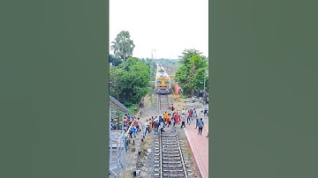 Emu Entering At Railgate #shorts