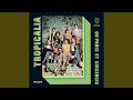 Miniature de la vidéo de la chanson Miserere Nóbis