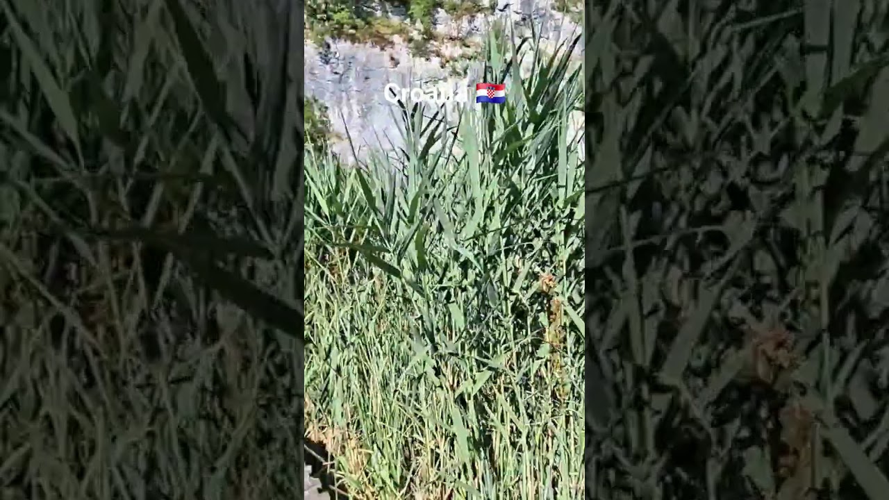 Croatia 🇭🇷