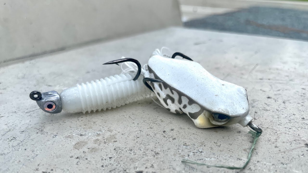 Catching Fish Back To Back Using ONLY Two Lures (Frog Catches BIG Bass)