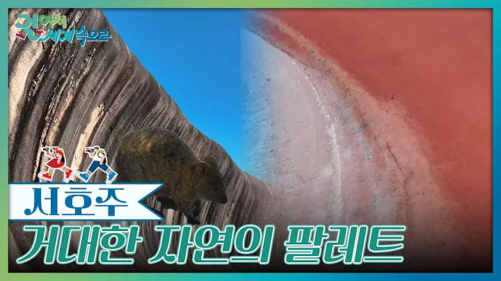 경이로운 풍경, 거대한 자연의 팔레트 [걸어서 세계속으로] | KBS 250621 방송