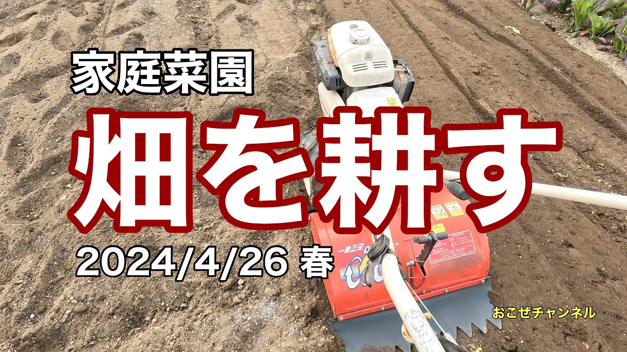 家庭菜園 畑を耕す 2025/4/26 春 - YouTube