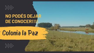colonia la Paz, #federacion #entrerios. #sangre  de #colonos