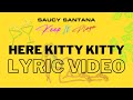 Miniature de la vidéo de la chanson Here Kitty Kitty
