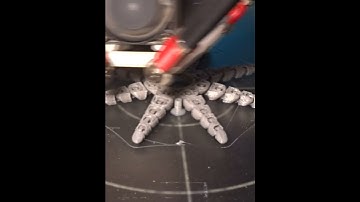 anycubic predator linear/klipper print test flexi octopus timelapse #shorts #3dprinting #timelapse