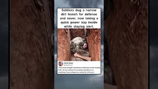 Soldiers dug a narrow dirt trench for defense and cover, now taking a quick power nap #shorts