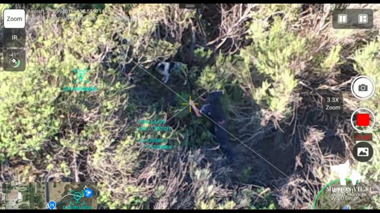 Mission Viejo Animal Services rescues dog from remote canyon