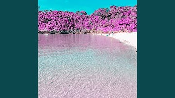 Laid-back Backdrops for llustrious Shapes