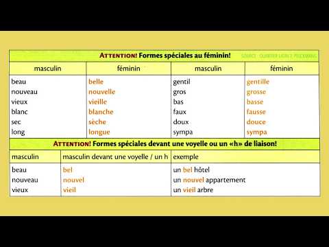 Masculin, féminin, singulier, pluriel - Grammaire française