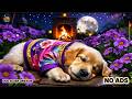 12 Hours of Dog Calming Music 🐶 Anti-Separation Anxiety Relaxing Music 🐕🎧Deep Sleep Therapy 😴 No Ads