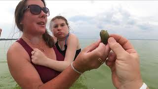 This Might Be Florida’s Best Family Beach Spot…