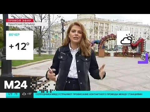 "Утро": +16 градусов ожидается в Москве днем 11 сентября - Москва 24