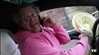 Jason Nash Best Moments Part 4 - David Dobriks Vlogs