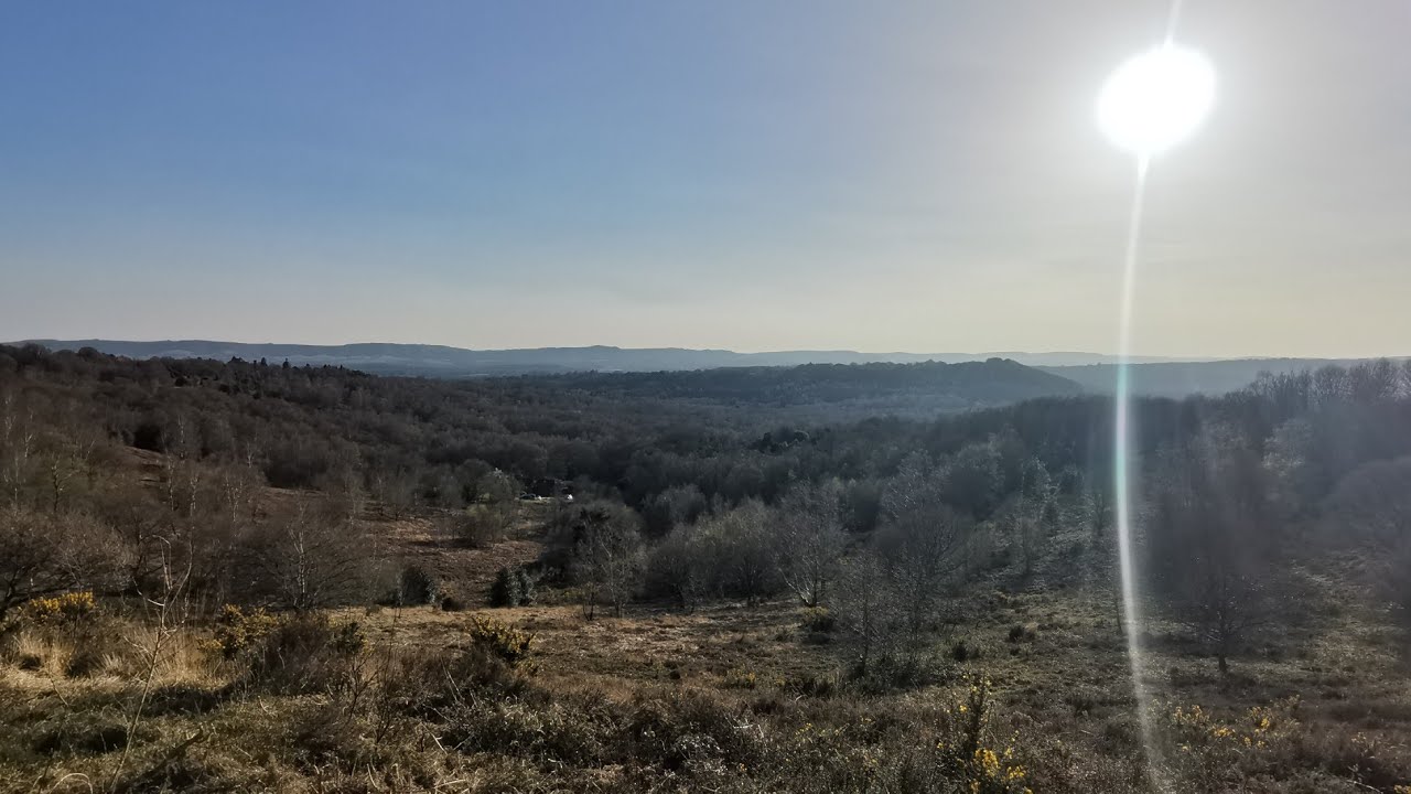 Woolbeding Common - The National Trust in Sussex