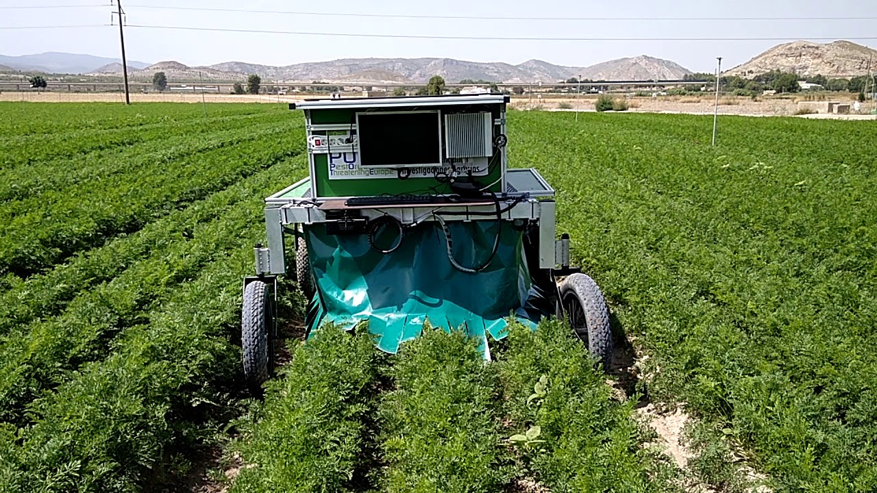 IVIA robotic systems for the early detection of 'Candidatus Liberibacter solanacearum'