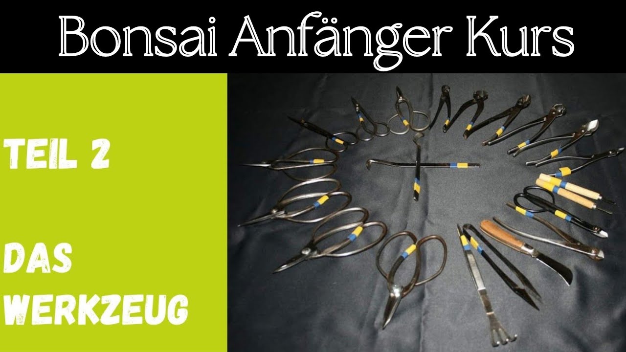 „Bonsai Werkzeug: Was du WIRKLICH brauchst (und was nicht!)“