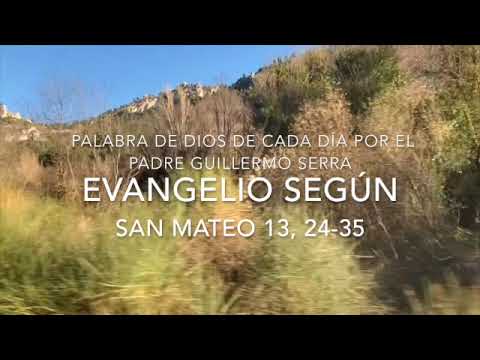 ✅ EVANGELIO del 23 de JULIO de 2023 ❎ MATEO 13, 24-35 | PADRE GUILLERMO SERRA