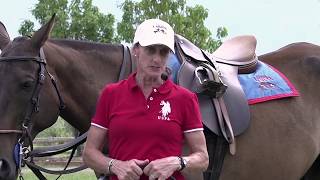 CPI  Educational: Tacking a Polo Pony | Cindy Halle