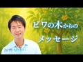 ビワの木からのメッセージ | ヒプノセラピー実例から紐解くスピリチュアル解説