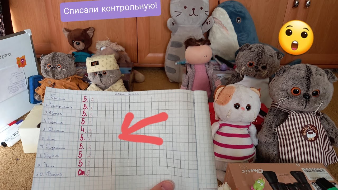 Видео школа басиков