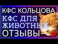 🔥Кошки Варежка и Мурочка ▫️ Отзывы о КФС Кольцова ▫️ КФС для животных