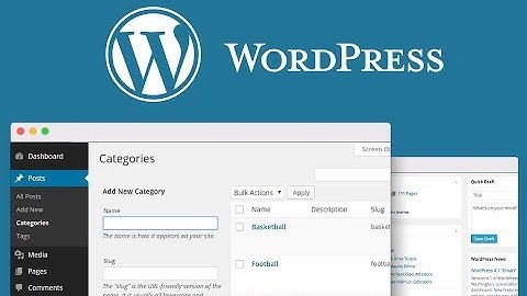 [How To] Display WordPress Post Into Particular Category/Page : 2025