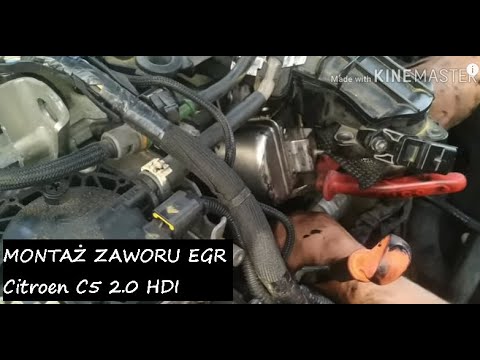 Montaż Zaworu Egr Citroen C5 / S-Max 2.0Hdi - Youtube