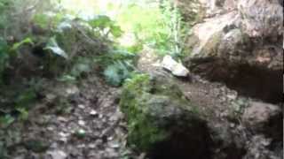 GuyTatt Jonse and the predator cave @GuyTatt
