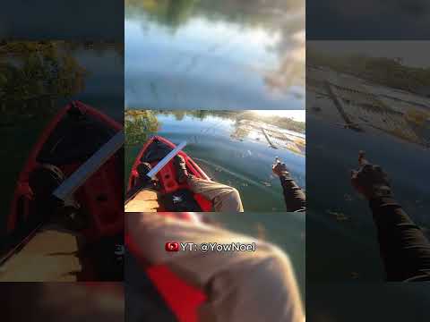 What If Someone Came Out And Answered My Call Hurricanemelissa Contentmanchester Jamaica