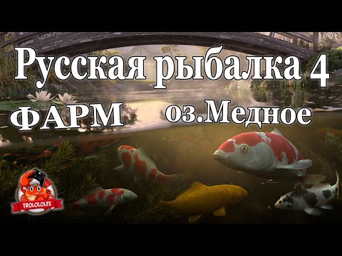 Видео: Русская рыбалка 4 оз Медное ФАРМ