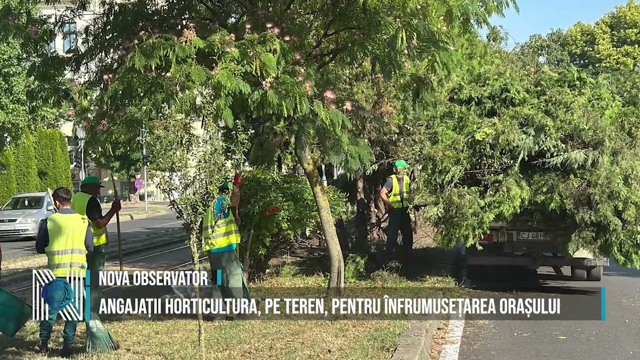 ANGAJAȚII HORTICULTURA, PE TEREN, PENTRU ÎNFRUMUSEȚAREA ORAȘULUI ANGAJAȚII HORTICULTURA, PE TEREN, PENTRU ÎNFRUMUSEȚAREA ORAȘULUI
