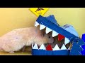 HAMSTER VS TRAP 😱😱🐹 Hamster Escape Monster Obstacle Course Cardboard