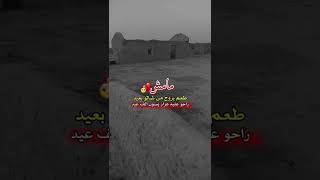 مامش طعم بروح من شالو بعيد راحو عليه عزاز يسوون الف عيد