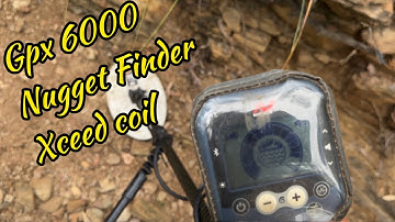 Gpx 6000 with the Nugget Finder Xceed Coil