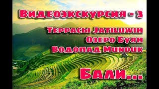 Рисовые террасы Jatiluwih, о. Бали, отзывы бали, красота бали, жить на бали, природа Бали, цены бали