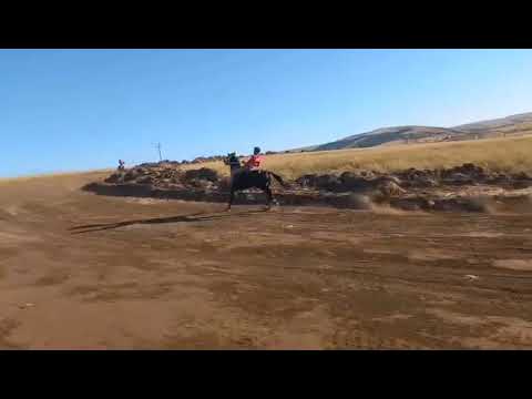 Traditional Horse Racing Nkandla May 24 05 2025