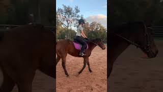 Untitled video