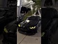 🌴Bimmer Invasion Ready🌴#bmw #car #shorts