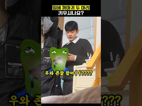 집에 까마귀 두마리 키우시나요??