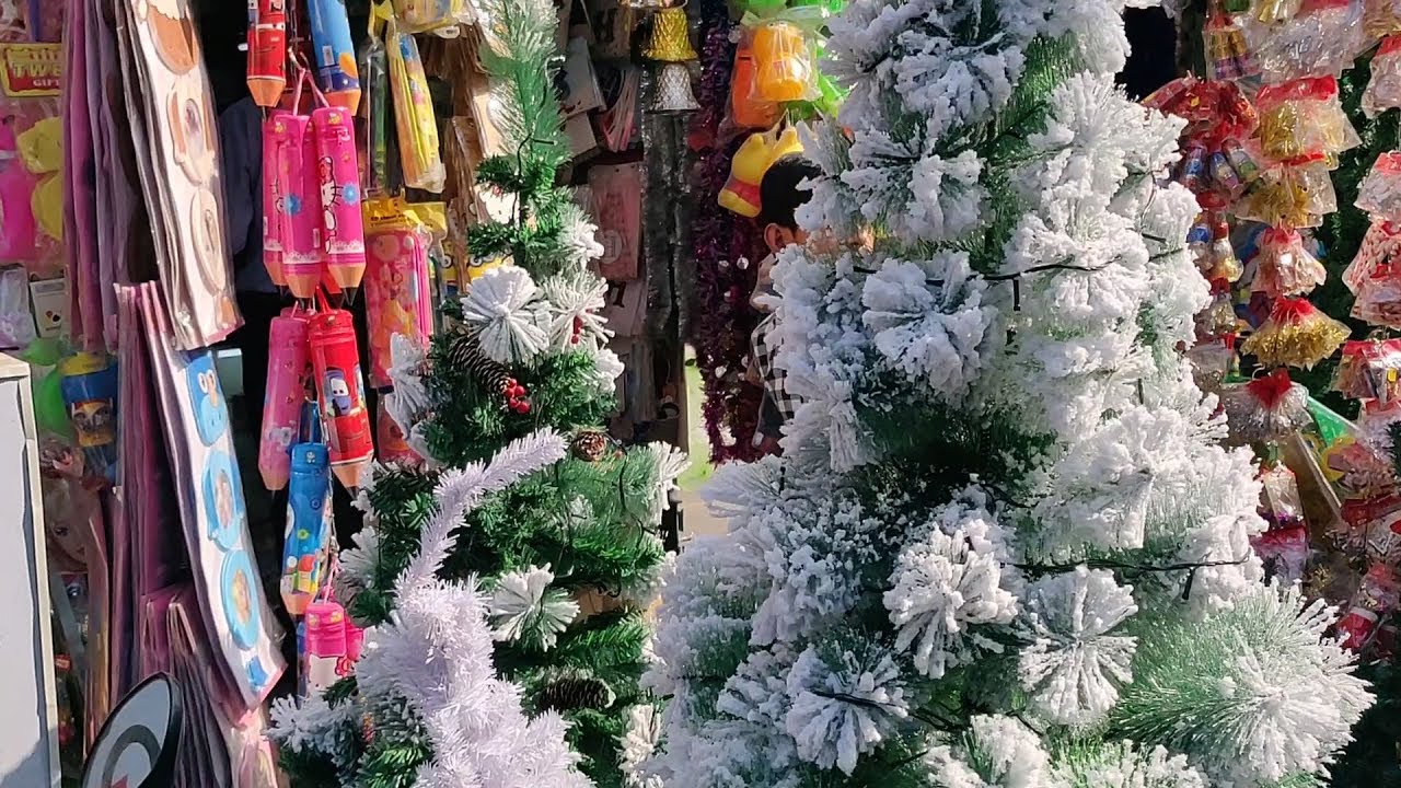 christmas tree in Pune