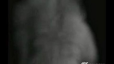 Tak and the Power of Juju GameCube Gameplay_2003_09_22_3