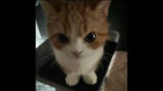 Download Lagu GROBLOXXXXXXXXXXXXXXXXXXXXXXXXXXXXXXXXXXXXXXXXXXXXXXX MP3