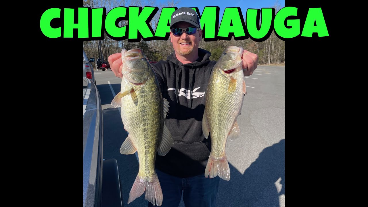 Chickamauga Lake Bass Fishing February 28, 2025