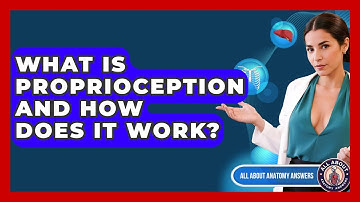 What Is Proprioception And How Does It Work? - All About Anatomy Answers