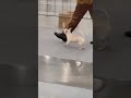 прекрасная блонди
