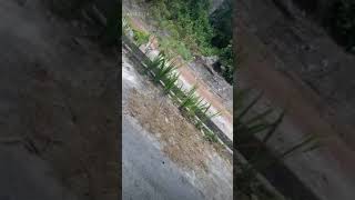 Lagu bagaikan langit disore hari berwarna biru sebiru hatiku