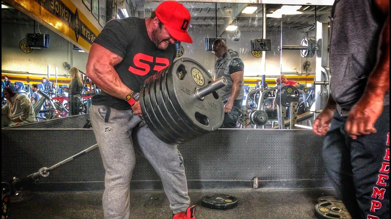 STANIMAL x SHAWN RHODEN : DOS et BICEPS PSYCHO Style